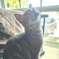 Thumbnail photo of Mae LH #3