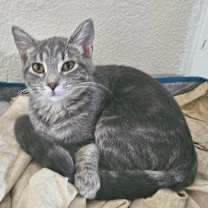 Thumbnail photo of Mae LH #4