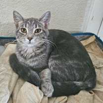 Thumbnail photo of Mae LH #1