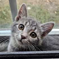 Thumbnail photo of Mae LH #2