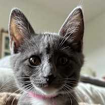 Thumbnail photo of Ginny #2