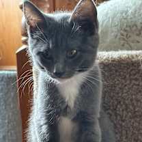 Thumbnail photo of Ginny #4