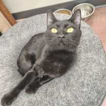 Thumbnail photo of Flowers #1