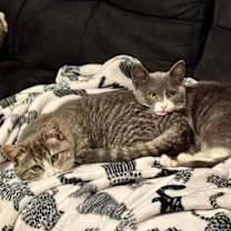 Thumbnail photo of Oakley #1