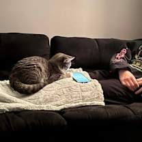 Thumbnail photo of Splinter #2