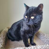 Thumbnail photo of Bogs #1