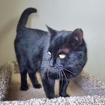 Thumbnail photo of Bogs #2