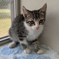 Thumbnail photo of Goo Be Gone #3