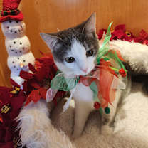 Thumbnail photo of Peyton #2