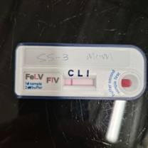 Thumbnail photo of Tamera #3