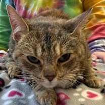 Thumbnail photo of Penelope #2