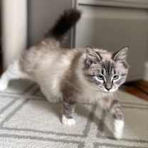 Thumbnail photo of Fiona #3