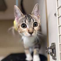 Thumbnail photo of Kaley #4