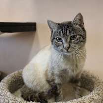 Thumbnail photo of Ocka #1