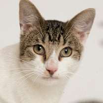 Thumbnail photo of Six #1