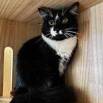 Thumbnail photo of Gia #3