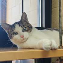 Thumbnail photo of Franz #3