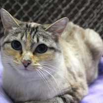 Thumbnail photo of Elaine #3