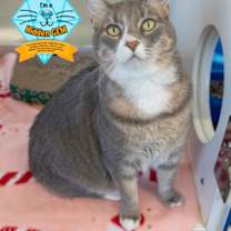 Thumbnail photo of Maya *Hidden Gem* #1