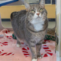 Thumbnail photo of Maya *Hidden Gem* #2