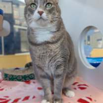 Thumbnail photo of Maya *Hidden Gem* #3