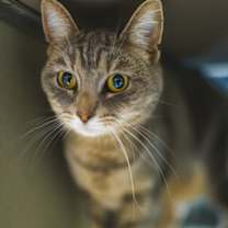 Thumbnail photo of Liliana #1