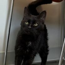 Thumbnail photo of Treats #3