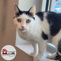 Thumbnail photo of Felicity #1