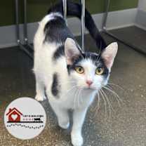 Thumbnail photo of Sally Superstar #1