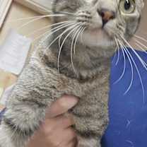 Thumbnail photo of Grocery Store #1