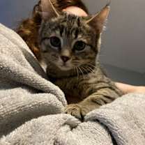 Thumbnail photo of Lindy #1