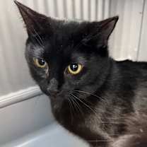 Thumbnail photo of Trish #2