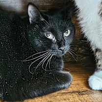 Thumbnail photo of Trish #3