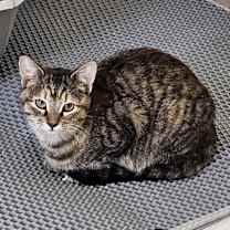 Thumbnail photo of Jill #1