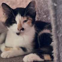 Thumbnail photo of Spicey #3