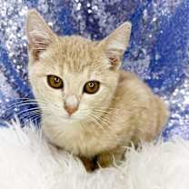 Thumbnail photo of Jeremiah #1