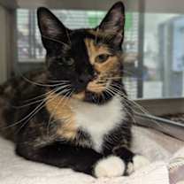 Thumbnail photo of Katrina #2