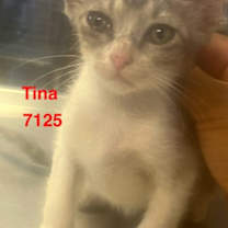 Thumbnail photo of Tina #2