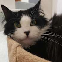 Thumbnail photo of Danessa #1