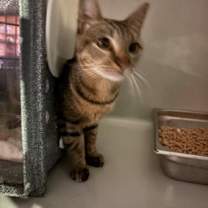 Thumbnail photo of Ames Blvd #2