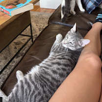 Thumbnail photo of Carl #2