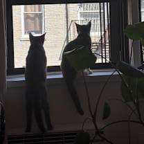 Thumbnail photo of Carl #3