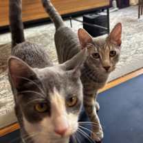 Thumbnail photo of Carl #4