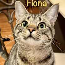 Thumbnail photo of Fiona #1