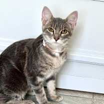 Thumbnail photo of Muriel #3