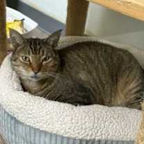 Thumbnail photo of Otis #1