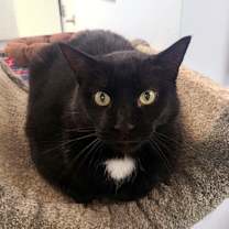 Thumbnail photo of Bogey #2