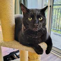 Thumbnail photo of Logan #3