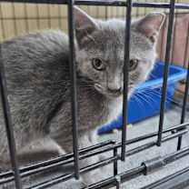 Thumbnail photo of Hillary Clinton #1