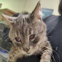 Thumbnail photo of Ernie #2